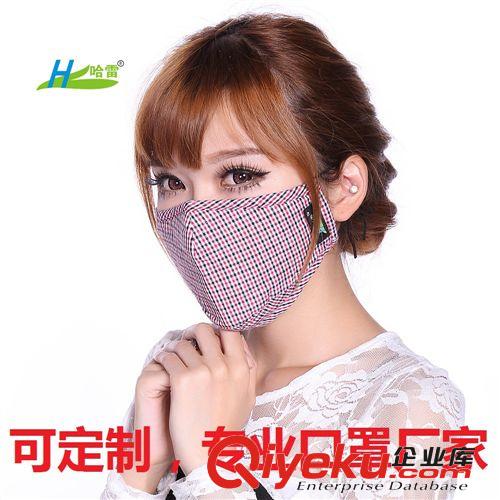 厂家批发定制 防PM2.5口罩 防雾霾 可插过滤片 哈雷时尚专业品质