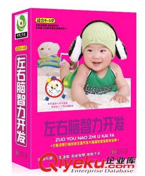 儿童光盘CD左右脑智力开发10DVD  婴幼儿益智光碟 有声图像视频