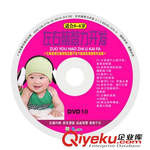 儿童光盘CD左右脑智力开发10DVD  婴幼儿益智光碟 有声图像视频