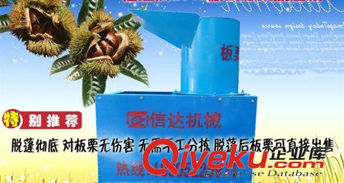 yz板栗剥毛刺机|板栗剥球机|剥栗子外刺机尽在信达机械