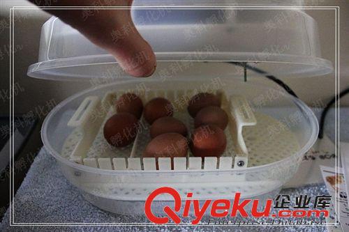 12枚全自动家用小型孵化机 孵化器 土鸡鸽子孵蛋机器 zp保证