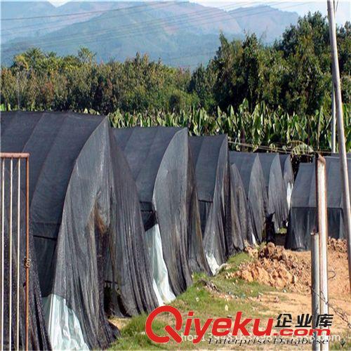 温室遮阳网/蔬菜种植大棚遮阳网