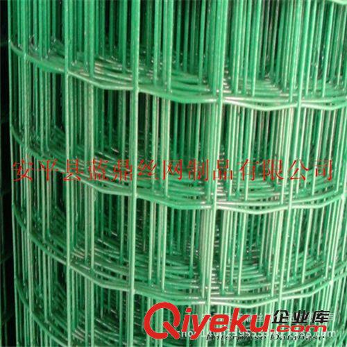 荷兰网养殖荷兰网 PVC涂塑电焊网 浸塑yz铁丝网
