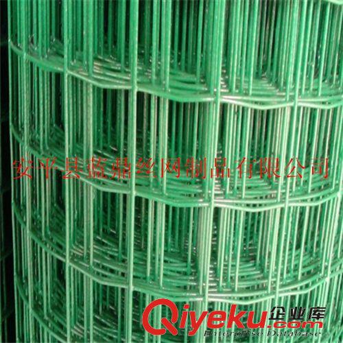 厂家直销牧区荷兰网 浸塑电焊网 yz绿色铁丝网