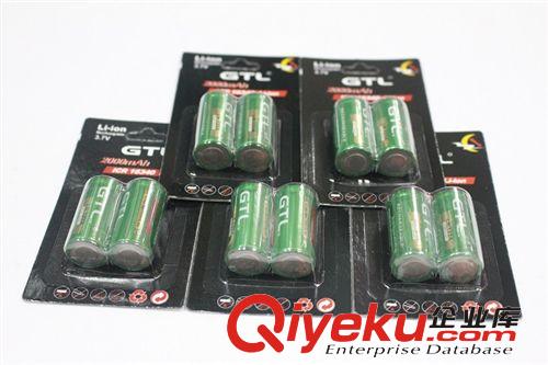 GTL 卡装绿标1634锂电池