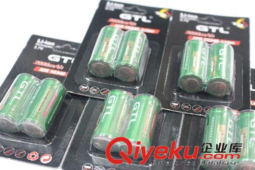 GTL 卡装绿标1634锂电池