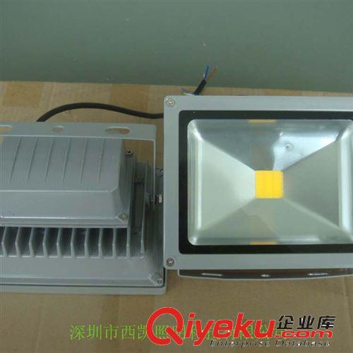 供应40W LED泛光灯 COB Epistar cnskyelec