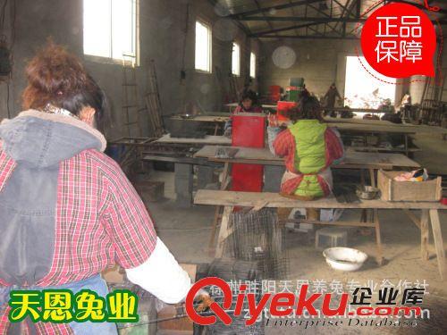 【专业认证】子母兔笼制造商批发新型新型子母兔笼12位母子笼