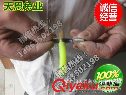 兔笼子制造商-兔用饮水器 量大从优 兔自动饮水器