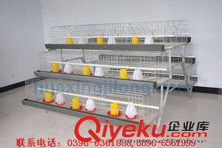 生产制造 贵州蛋鸡笼-云南育雏鸡笼-广西鸡笼，阶梯式蛋鸡笼