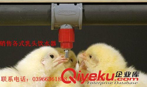 华兴养鸡设备 乳头饮水器，食槽，食堵，食接，小配件