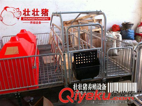 供应养猪设备加厚猪用产床 母猪双体产床 国标优质镀锌管 可定做