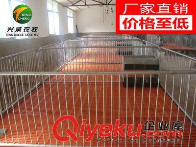 养猪设备仔猪保育床限位栏母猪产床养殖器械