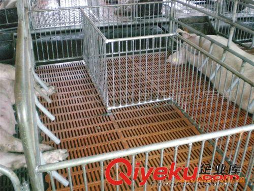 供应养猪设备 母猪连体产床  仔猪保育床 定位栏