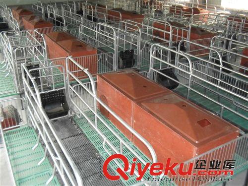 厂家大量批发{zx1}款产床，保育床，限位栏，猪厂自动供料设备