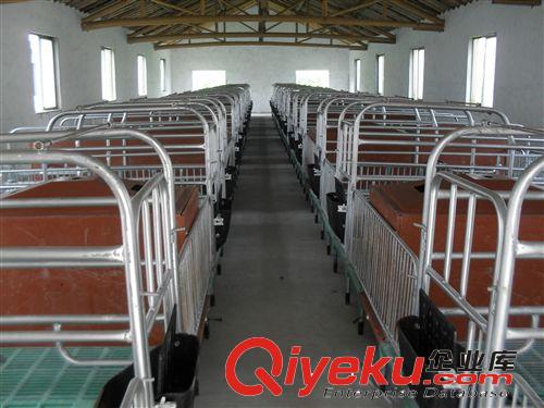 厂家大量批发养猪设备、养殖设备，畜牧设备,新型母猪产床 定位栏