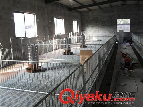 厂家大量批发养猪设备、养殖设备，畜牧设备,新型母猪产床 定位栏
