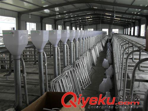 厂家大量供应批发畜牧设备、养猪设备、养殖设备、限位栏下料器