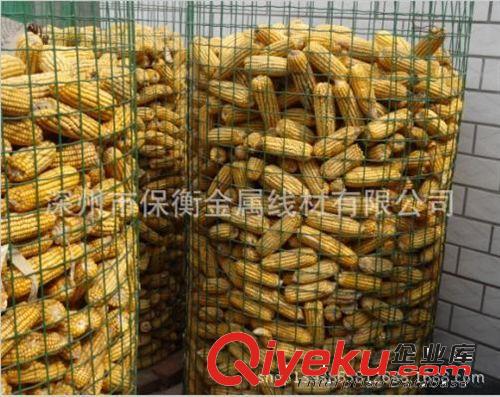 山东晾晒玉米铁丝网 圈玉米电焊网生产厂家