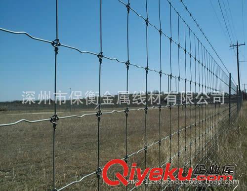 广西畜牧养殖铁丝网 草原围栏 牛栏网