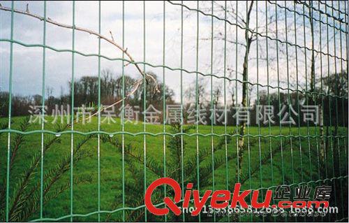 广西畜牧养殖铁丝网 草原围栏 牛栏网