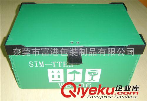 塑胶箱 系列 欢迎订做 塑胶中空板周转箱 广州防静电中空板箱 静电中空板箱