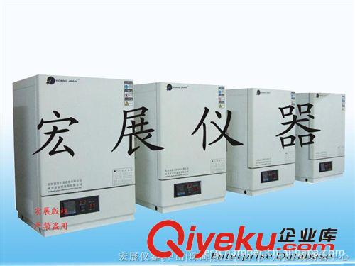 精密烘箱 供应各种规格全新电热恒温箱 立式电热恒温箱 自动电热恒温箱