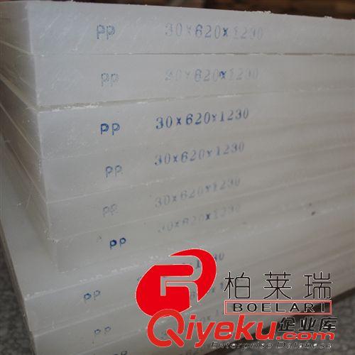 工程塑胶 厂家供应高品质  耐高温防火PP板 高硬度 白色防静电材质
