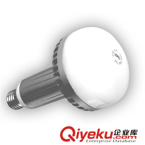 LED球泡 CQ1A-18W瓦 LED球泡灯泡 超高亮大功率无频闪 gd工程照明品牌