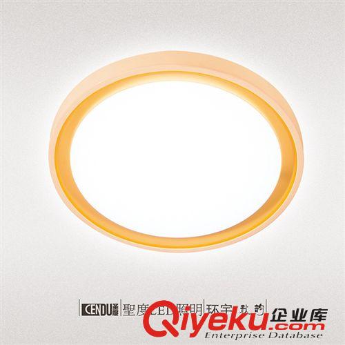 LED造型灯 CXDD-HY-300-18瓦LED吸顶灯 卧室客厅阳台 亚克力高亮无频闪