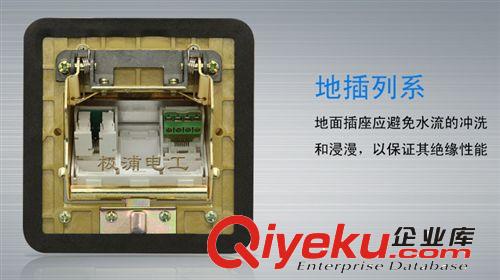 地板插 广东中山[极浦] 电话+网络电脑地板插座 带底盒 zp 保用15年