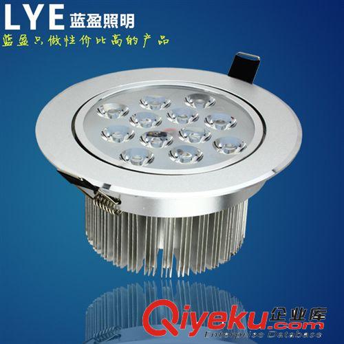 蓝盈LED天花灯射灯 大功率 射灯 服装店 led 天花灯 12w/15w/18w 24w 珠宝射灯 筒灯