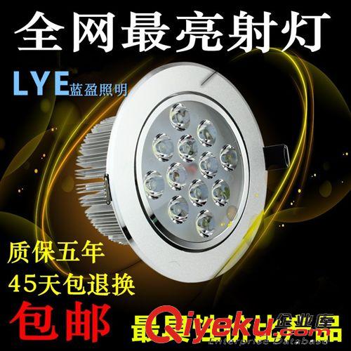 蓝盈LED天花灯射灯 大功率 射灯 服装店 led 天花灯 12w/15w/18w 24w 珠宝射灯 筒灯