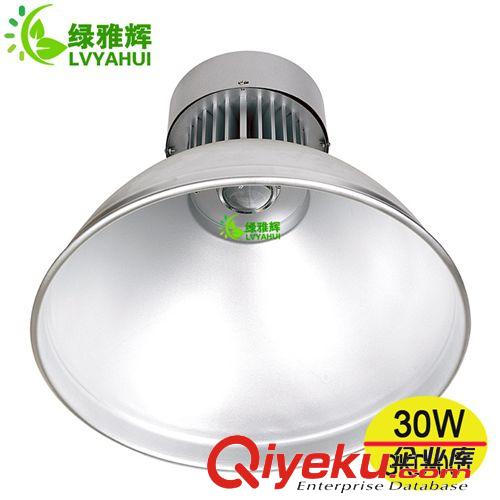 LED工矿灯 供应led工矿灯 20w 30wyzled工矿灯 厚铝led工矿灯