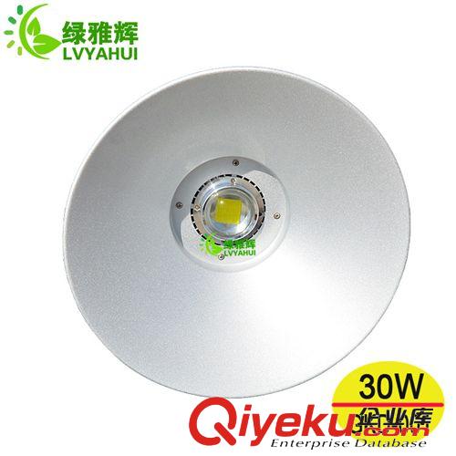 LED工矿灯 供应led工矿灯 20w 30wyzled工矿灯 厚铝led工矿灯