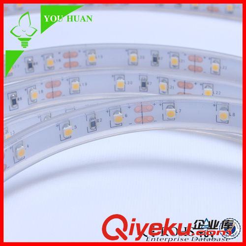 Q系列 厂家直销LED软灯条 3528灯带每米60灯足米高亮质保2年