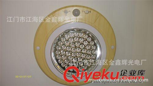LED其它室内照明系列 厂家供应gd yz 156珠嵌入式 质保两年 LED厨卫灯