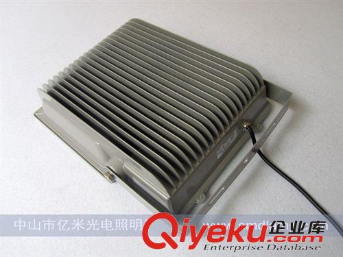 LED投光灯 2x50W集成LED投光灯 双头100W LED泛光灯