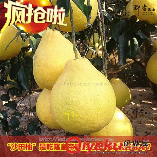 【醉香果业】zz容县 好吃沙田柚 新鲜水果 10斤装6个左右