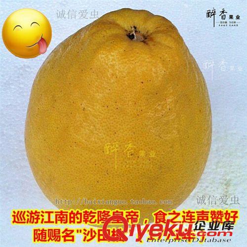 【醉香果业】zz容县 好吃沙田柚 新鲜水果 10斤装6个左右
