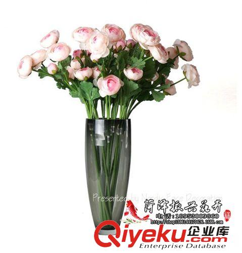 菏泽鲜花批发芍药yz大朵，花头好，新鲜红色，粉红，紫色，白色