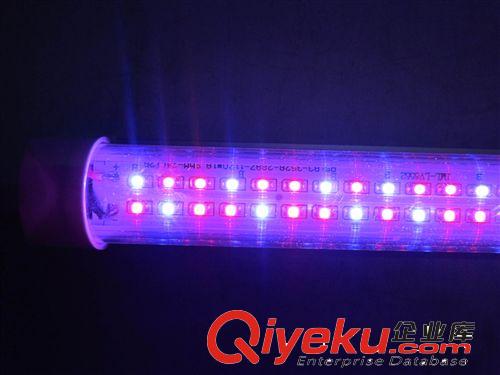 深圳工厂自行研发生产销售LED植物补光生长灯