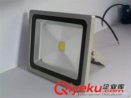 【钧盛来LED】xx供应 操场体育馆专用 20W集成投光灯 8927