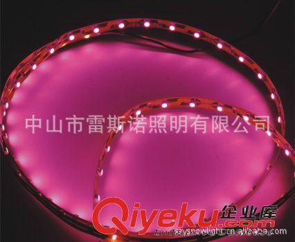 厂家供应中国zm品牌雷斯诺LED灯带 SMD, 12V