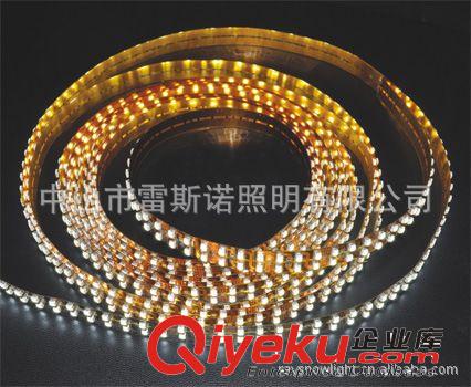 厂家供应中国zm品牌雷斯诺LED灯带3528/30 套管防水软光条IP65