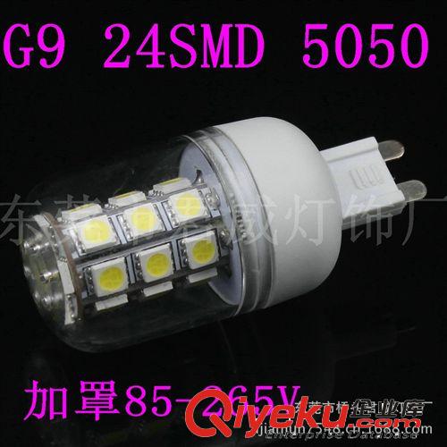 君威供应G9LED玉米灯 24SMD 5050LED照明灯系列 加透明罩