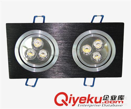 【直销】供应DW-GS-4005LED天花灯 3w*2双头牛眼灯 双头