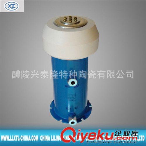 厂家供应 超级陶瓷电容器 筒式电容器CCG5-1 高压陶瓷电容器