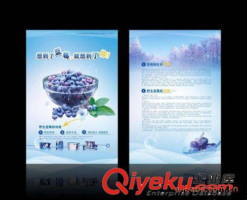 服务公司产品宣传广告海报设计制作  鲜明吸引醒目大方 深圳