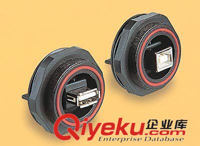 品种齐全 密封USB 线缆- 双端 防水USB连接器PX0841/AB/2M00